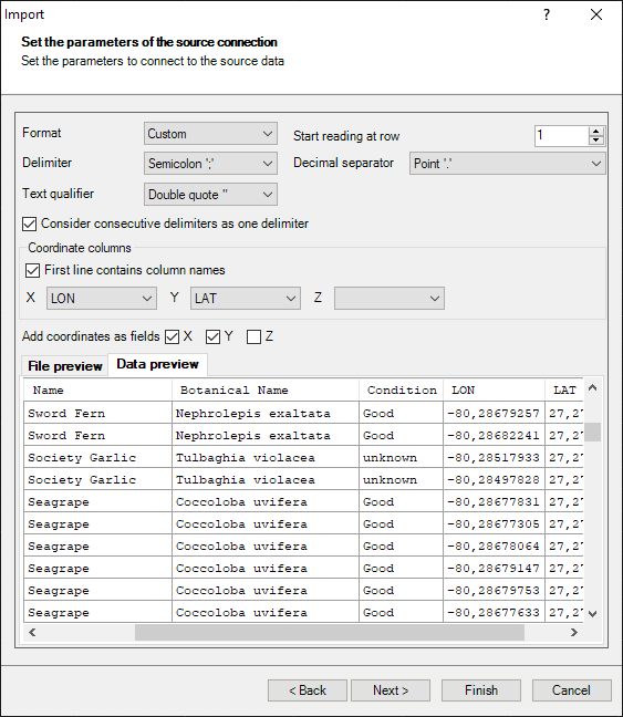 ASCII file reading (import process) parameters window