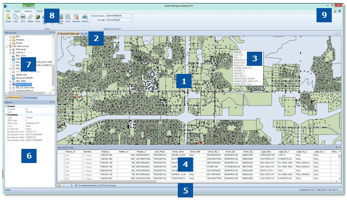 Spatial Manager Desktop™ Layout