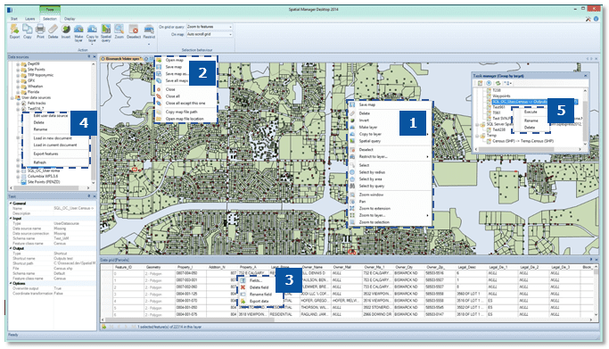 Spatial Manager Desktop™ Contextual menus